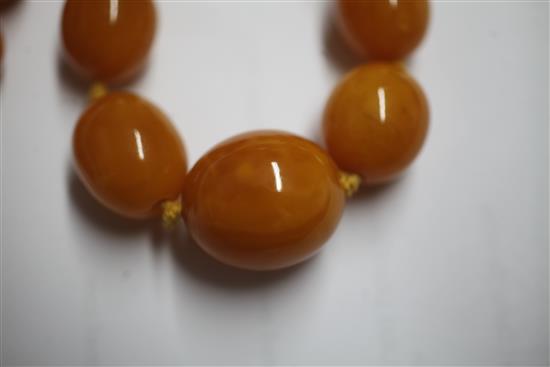 A single strand graduated oval amber bead necklace, 58cm.